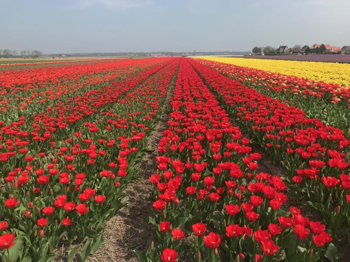 Woonboot Irene Villa Alkmaar Dış mekan fotoğraf